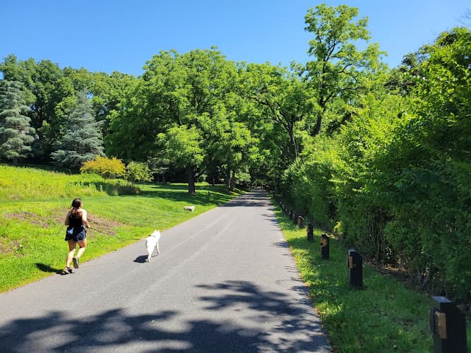 Wyomissing Park System Pinewoods Trail Logo