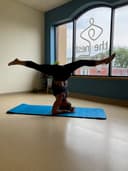 The Nest Collaborative logo