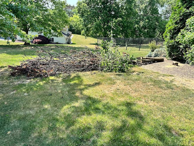 Weber Land and Tree