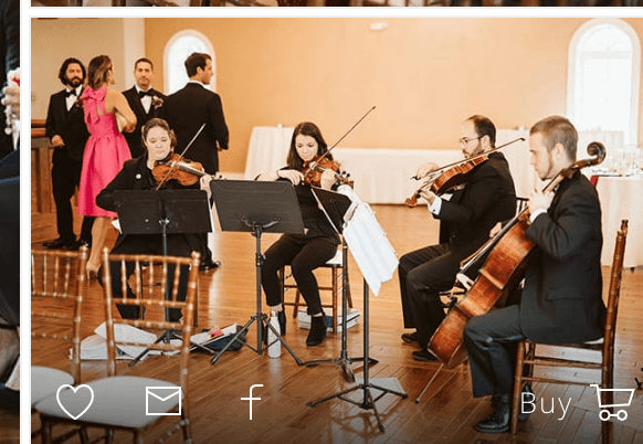 Cherrywood String Quartet and Ensembles-Wedding Musicians, Philadelphia, PA Reading, PA logo