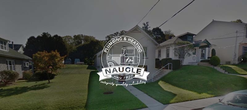 Naugle W F & Sons Inc Logo