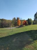 Shillington Park logo