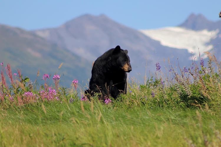 Baker's Photography logo