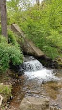 Nolde Forest - Sawmill logo
