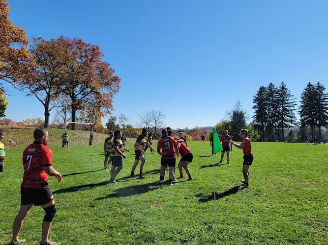 Schlegel Park Athletic Field (Upper) Logo