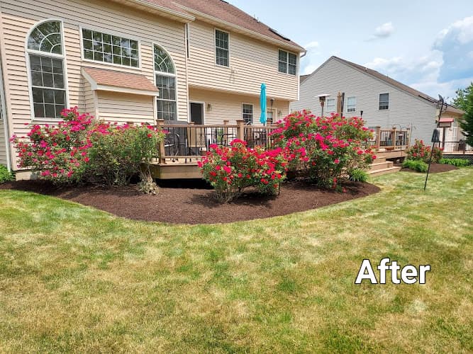 REVITALIZE LANDSCAPE & LAWN CARE logo