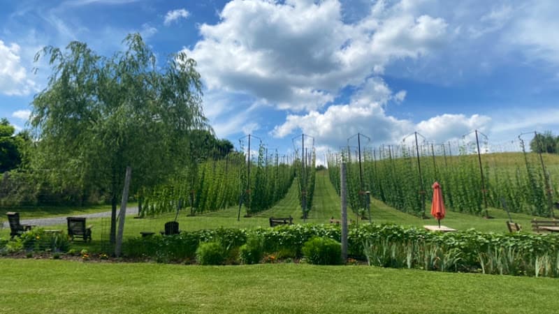 Fawn Hill Hop Yard logo