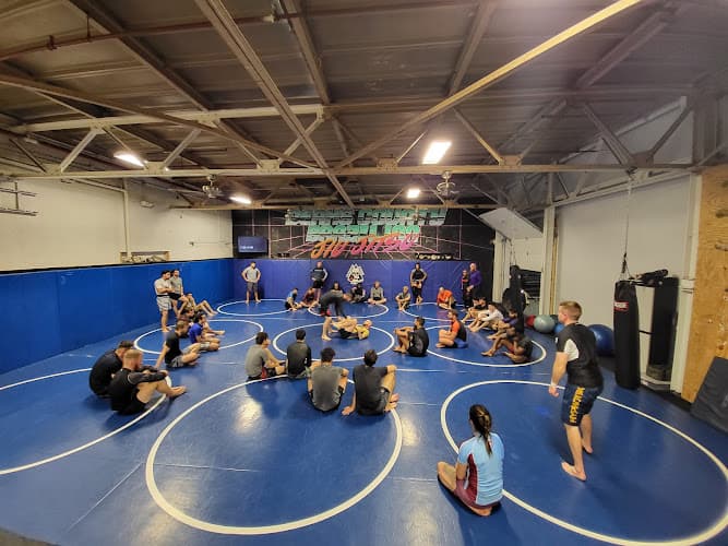 Berks County Brazilian Jiu-Jitsu logo