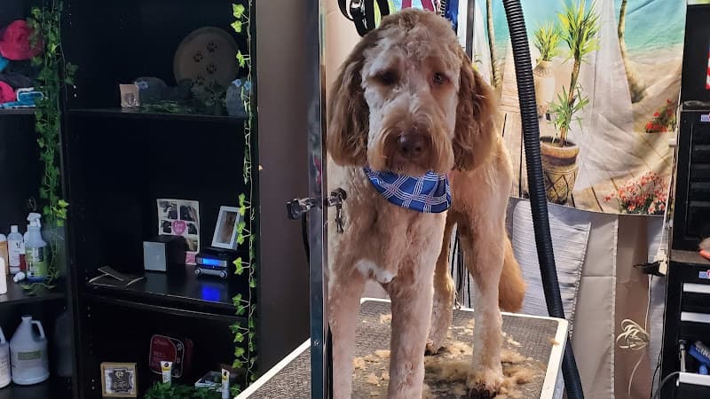 Pawz Furever Grooming by Dawn Logo