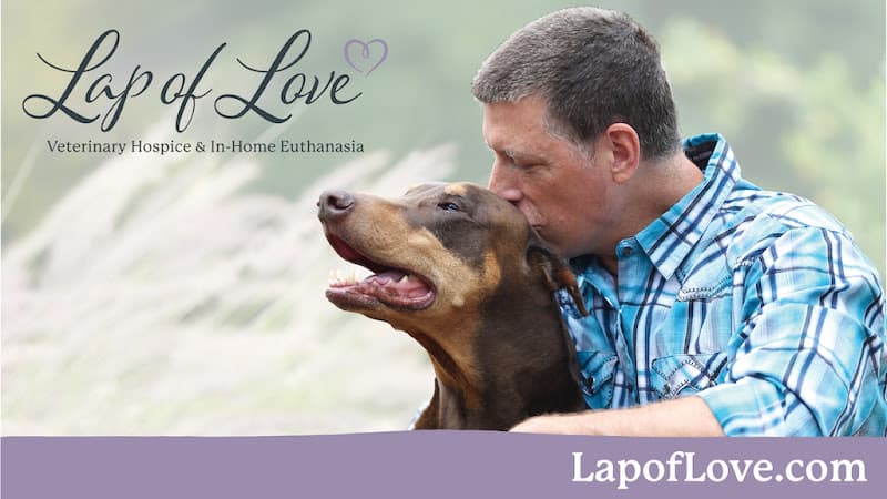 Lap of Love - Berks & Lehigh Counties logo