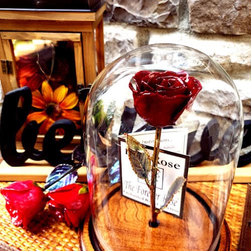 The Forever Rose Logo