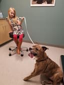 Larkin Veterinary Center logo