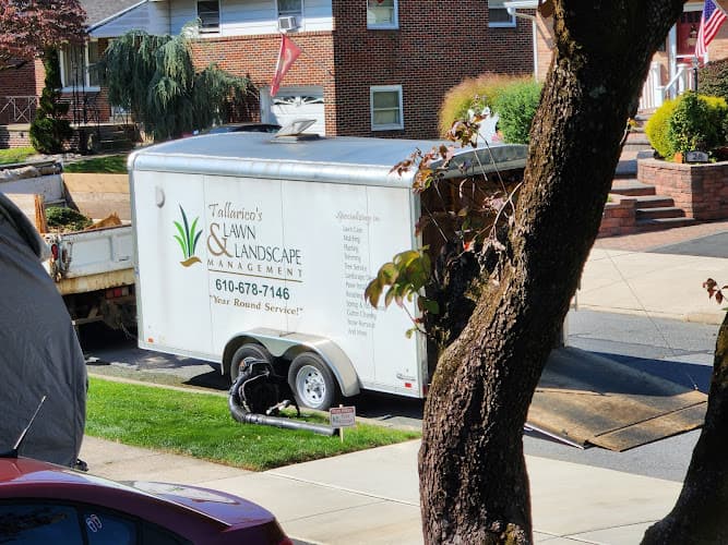 Tallarico's Landscaping logo