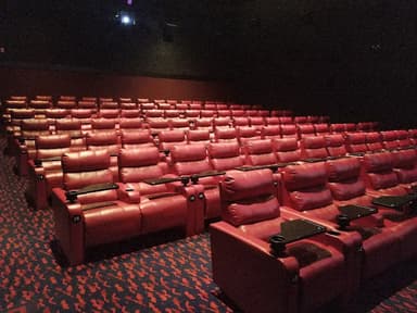 AMC DINE-IN Berkshire 8 logo