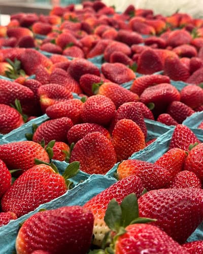 Paul Keagy Produce Inc Logo