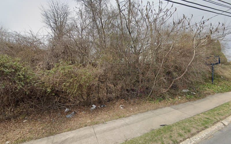 Allied Orthodontics logo