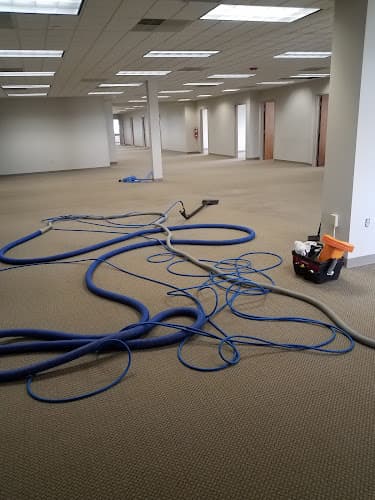 Quint-Essential Rug Services logo