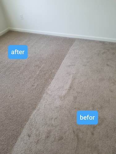 Carpet Cleaning Works-Reading Logo
