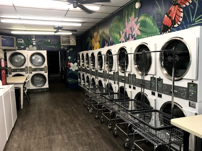 Peppy Wash Laundromat logo