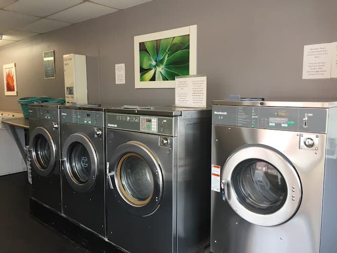 10th and Elm Laundromat logo