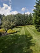 CASTILLO'S LANDSCAPING logo