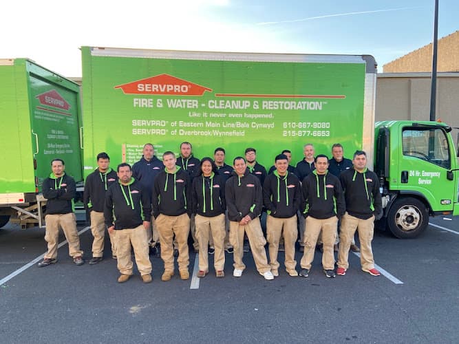 SERVPRO of Sinking Spring, West Reading logo