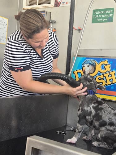 Albright Self-serve Dogwash logo