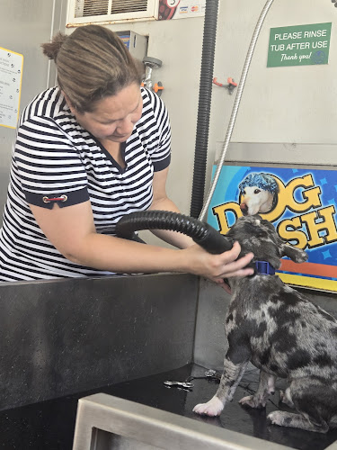 Albright Self-serve Dogwash Logo