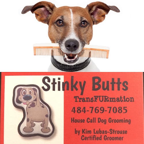 Stinky Butts Transfurmation House Call Grooming logo