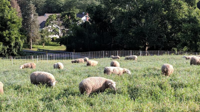 tulpehocken farm