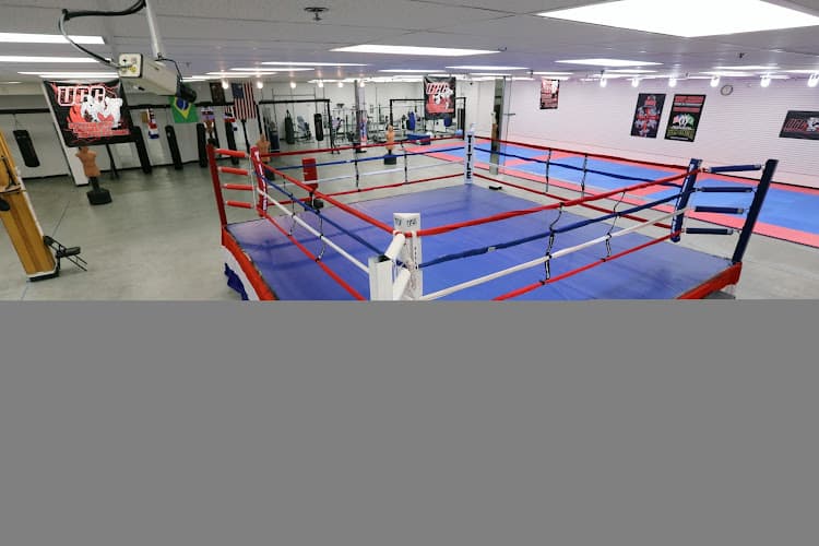 MMA Academy - Pereira BJJ Reading. Team Jucao logo
