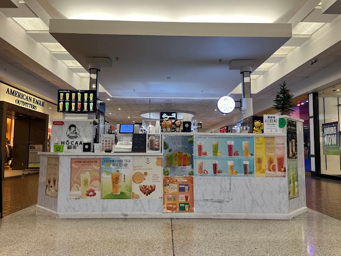 HOCAA BUBBLE TEA(Berkshire Mall) logo