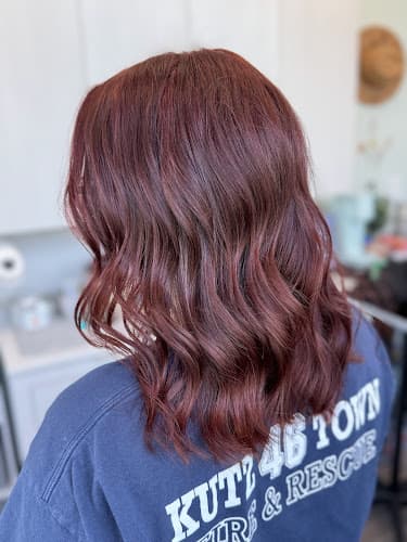 Wild Bloom Hair Studio logo