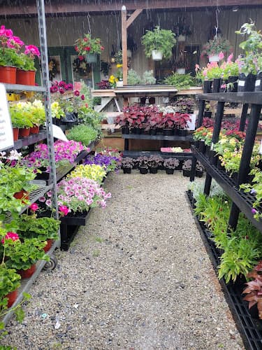 Riverview Tree & Landscaping, and Riverview Gardens & Gifts logo