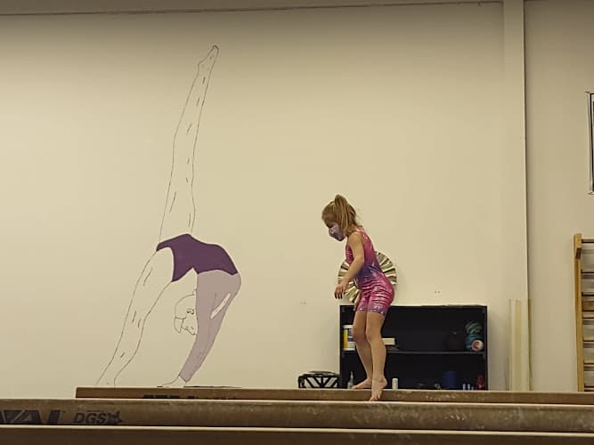 Stallone Gymnastics logo