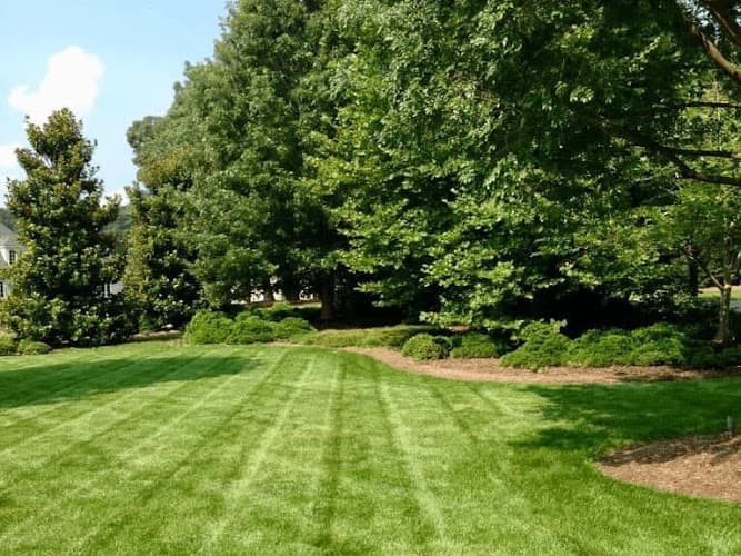 Bear Lawn & Landscaping, LLC logo