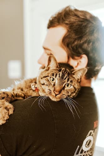 One by One Cat Rescue logo