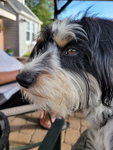 Nature Calls Pet & Plant Services logo