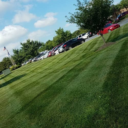 Sanci's Landscaping Logo