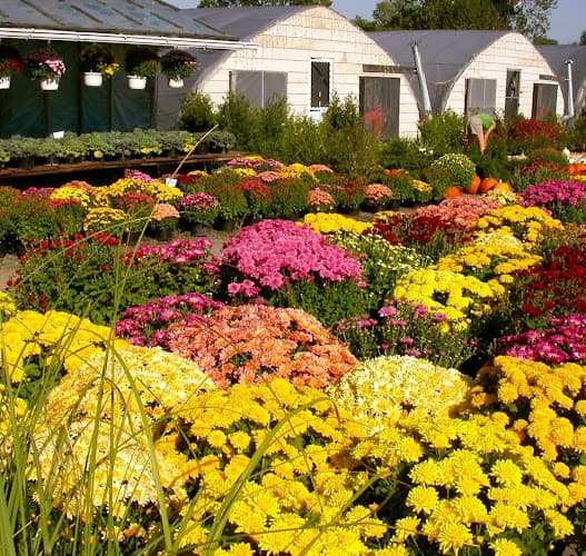 Spring Garden Farms Inc.
