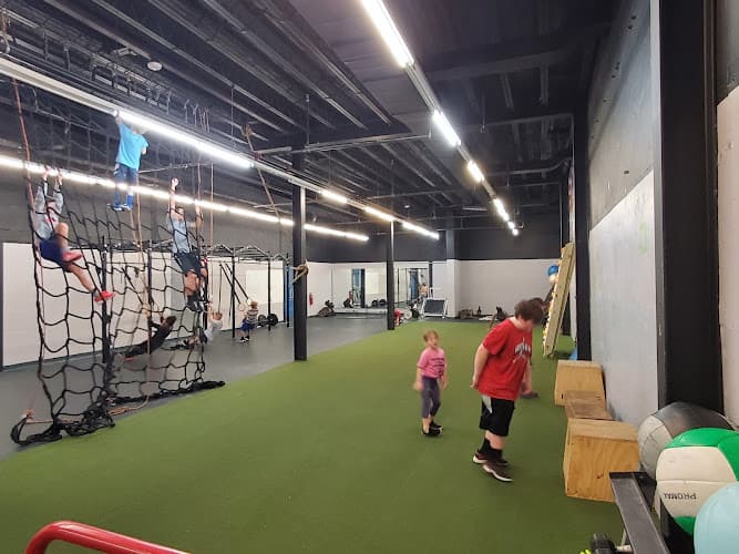 Viper Fitness athletics logo