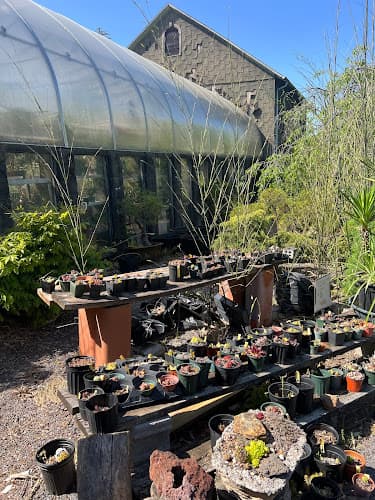 Mutschler's Rare Plants