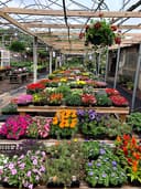 Motta's Country Gardens & Landscaping logo