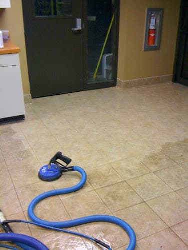 Dedicated cleaning systems,llc logo