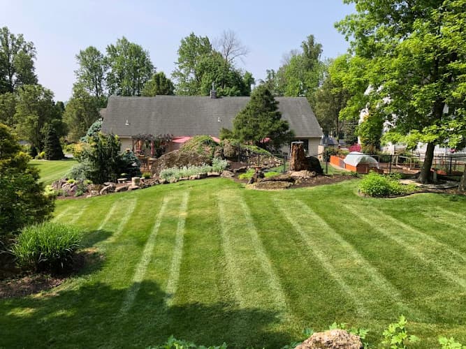Esquivel's Landscaping Maintenance, LLC logo