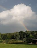 Weddings & Event Space logo