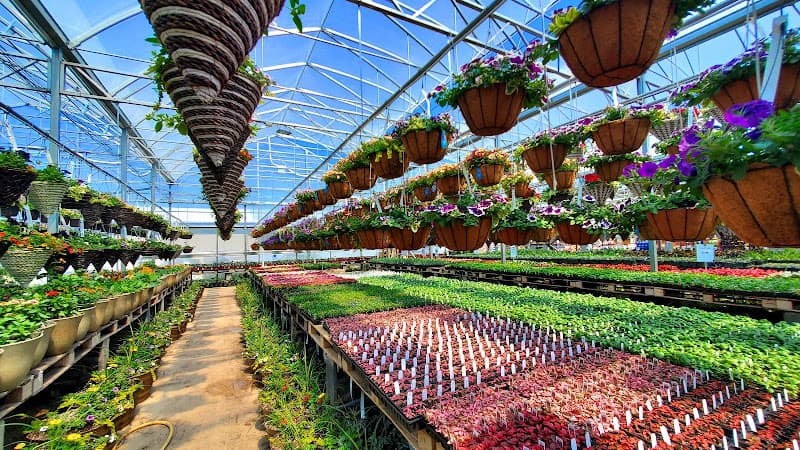 Glick's Greenhouse logo