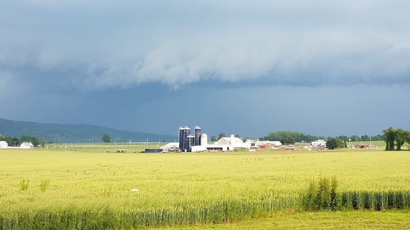 Prout's Jollyview FarmMarket