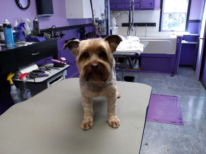 Oley Valley Pet Salon Logo