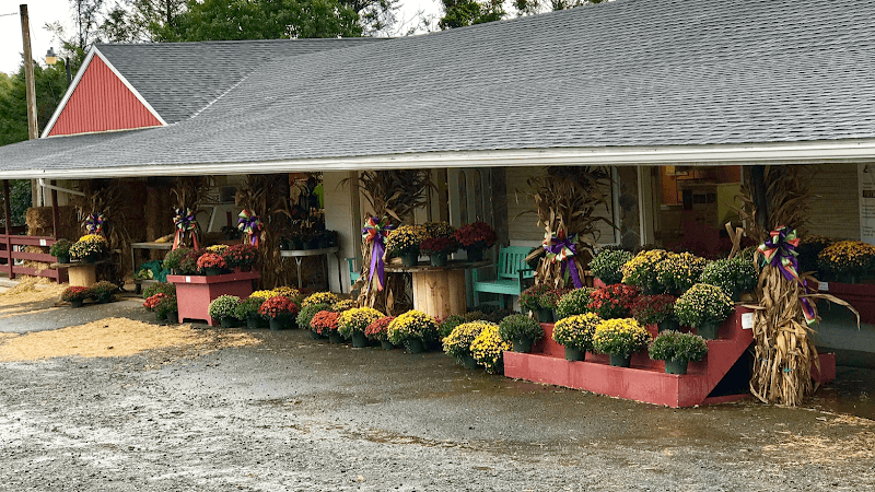 Wilcox Farms
